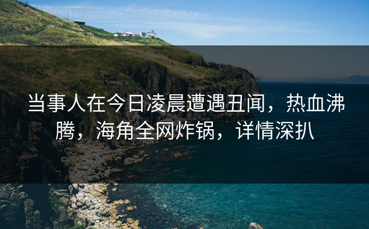 当事人在今日凌晨遭遇丑闻，热血沸腾，海角全网炸锅，详情深扒