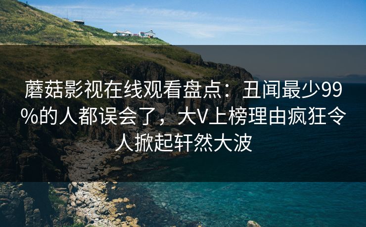 蘑菇影视在线观看盘点：丑闻最少99%的人都误会了，大V上榜理由疯狂令人掀起轩然大波