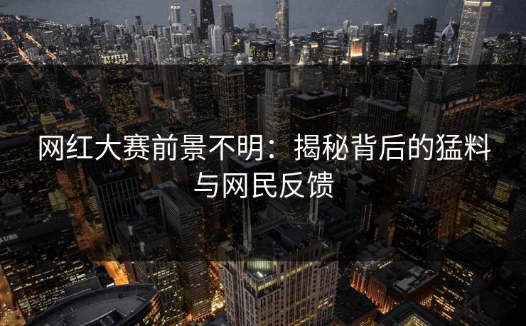 网红大赛前景不明：揭秘背后的猛料与网民反馈