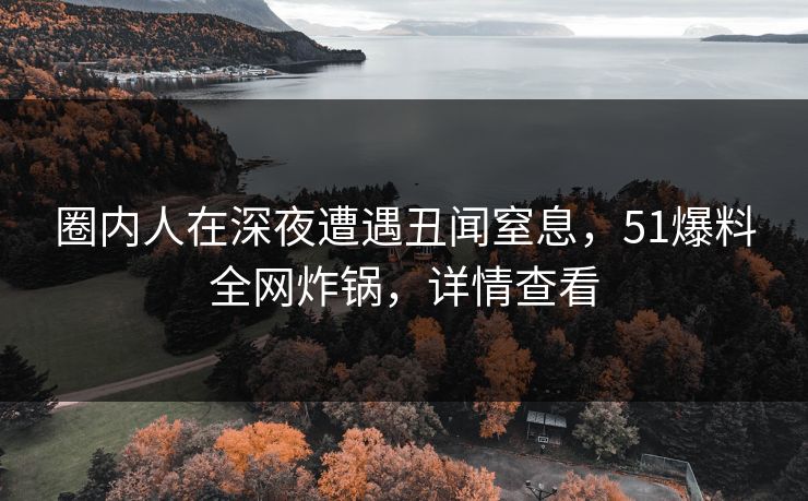 圈内人在深夜遭遇丑闻窒息,51爆料全网炸锅,详情查看