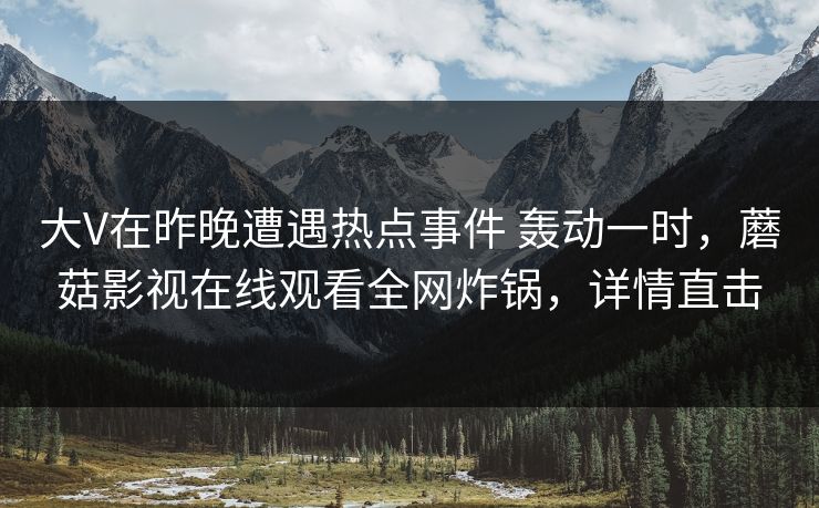 大V在昨晚遭遇热点事件 轰动一时，蘑菇影视在线观看全网炸锅，详情直击